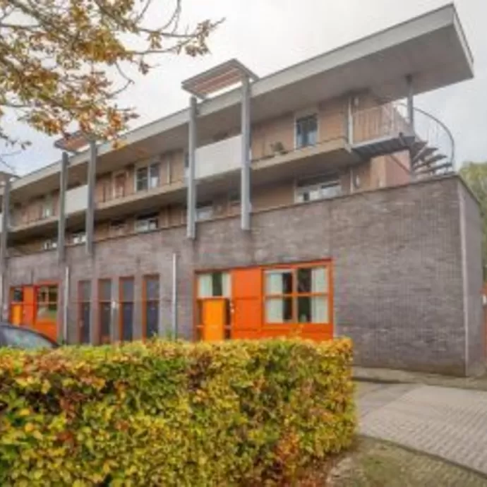 Renovatie rookgaskanaal (CLV) en vervangen CV-ketels Obdam