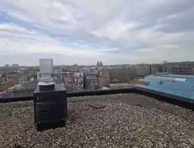 Rookgasrenovatie 19 individuele kanalen