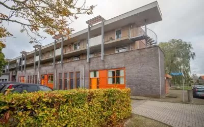 Renovatie rookgaskanaal (CLV) en vervangen CV-ketels Obdam